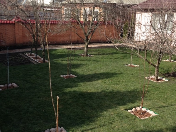 Объект на Бекентьева