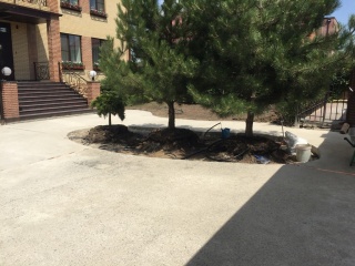 Объект на Зеленой