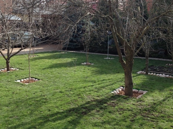 Объект на Бекентьева