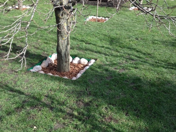 Объект на Бекентьева